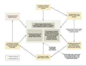 Process Linking Climate Change and Trauma