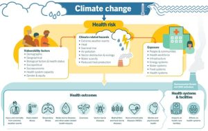 World Health Organisation - Climate Risks on Health