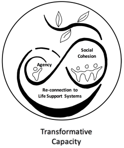 Transformative Capacity