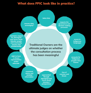 what does fpic look like practice Infograph