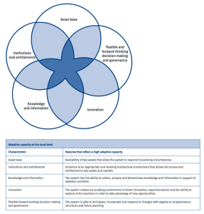 Adaptive Capacity at a Local Level