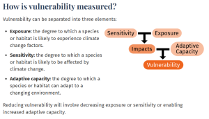 How is vulnerability measured.