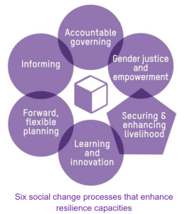 Social change processes that enhance resilience capacities